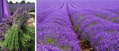 эфирное масло