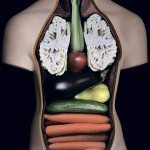 Детокс: если вы устали! Или как очистить организм от токсинов с помощью детокса.