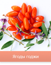 Ягоды Годжи